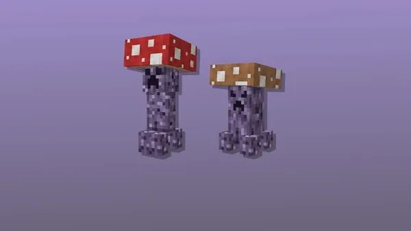 Mushroom Creepers