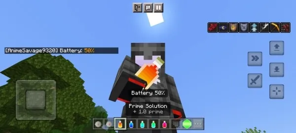 Prime Solution item