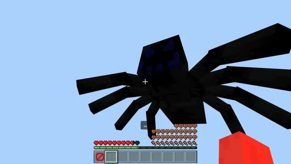 Timothy attacks