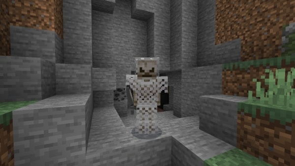 Skeleton Guard