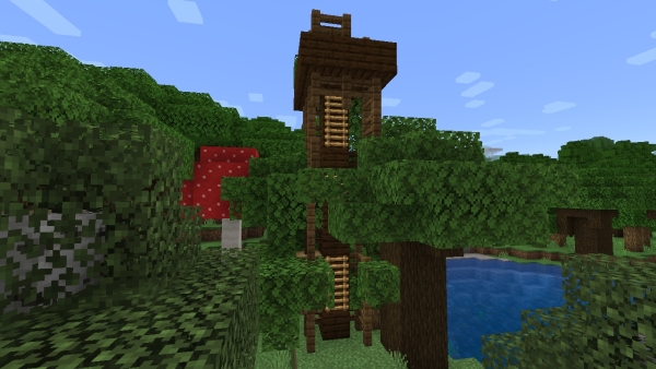 Wooden Dark Oak Watchtower