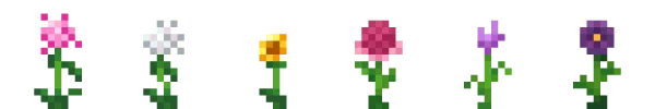 New flowers