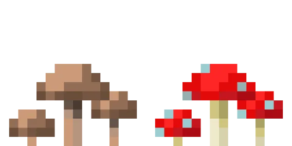 Mushrooms