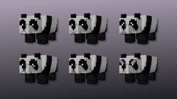 New Pandas (Screenshot 1)