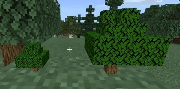 Miniature trees