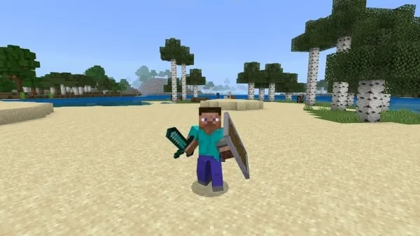 Diamond Sword and Shield