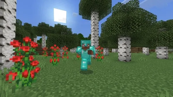 Sprint with Diamond Armor