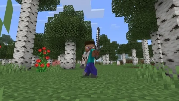 Sneak Iron Sword