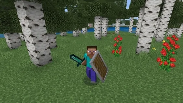 Sword and Shield
