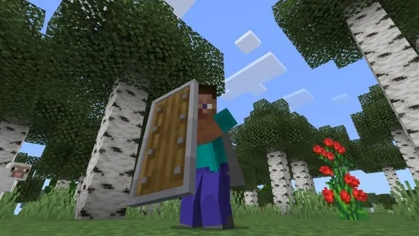 Sneak with Shield