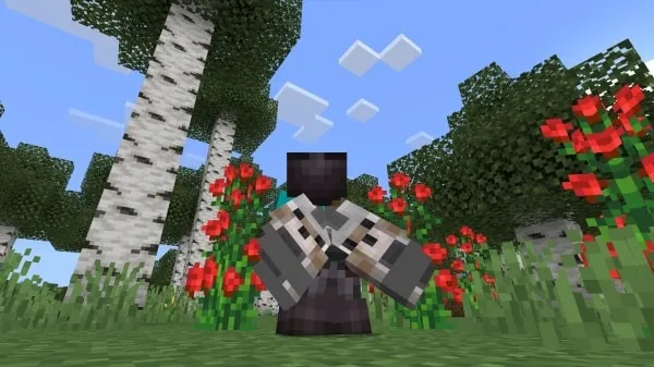 Elytra with Wolf face texture