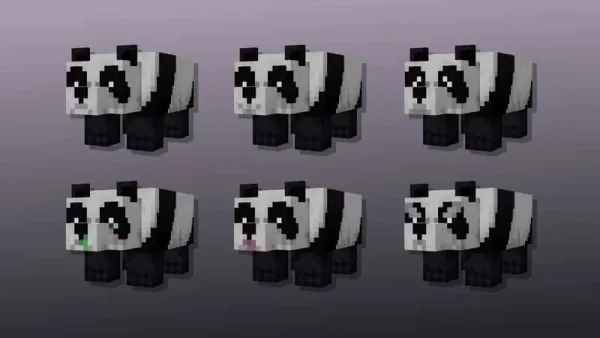 Normal Pandas