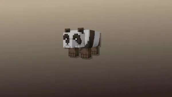 Brown Panda