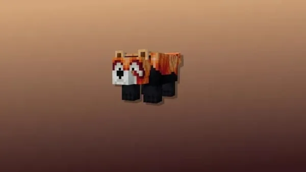 Red Panda AKA Ailurus