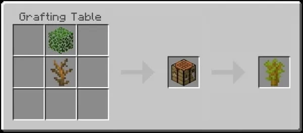 Acacia Sapling Recipe