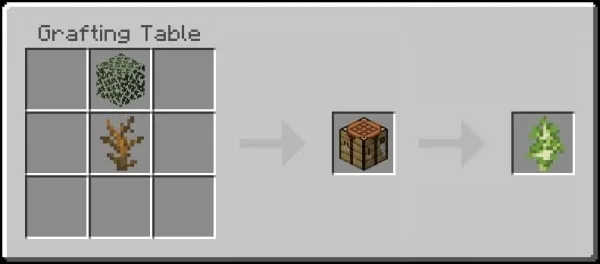 Birch Sapling Recipe
