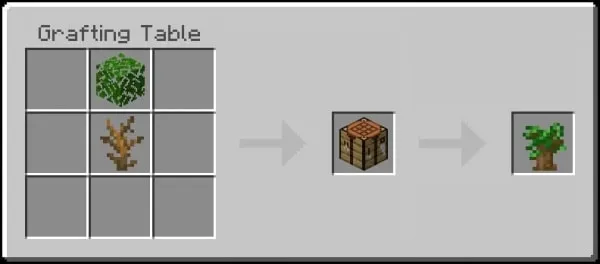 Dark Oak Sapling Recipe