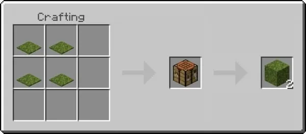 Moss Block Recipe