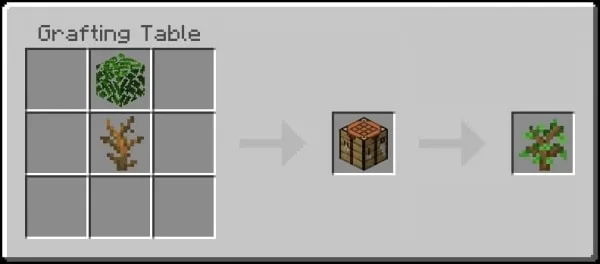 Oak Sapling Recipe