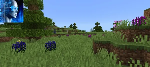 Prairie