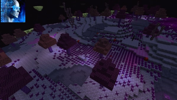 Purple Forest biome