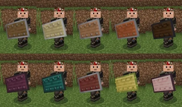 Shield Corrections (Screenshot 5)