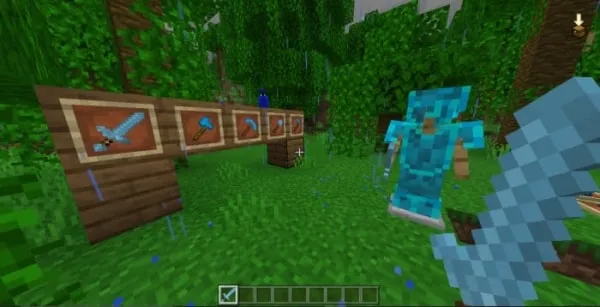 Soul Tools, Armor and Sword in the hand