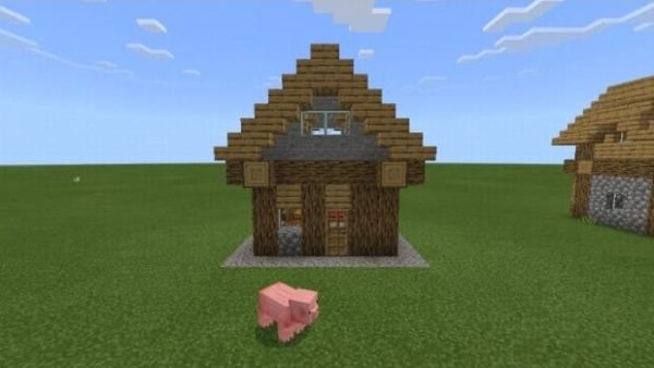 Village structures: house 6