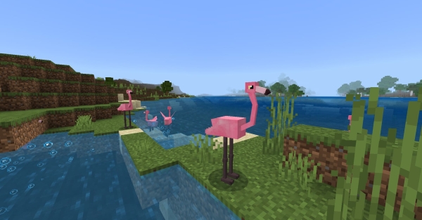 Flamingos: Screenshot