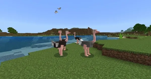 Ostrich: Screenshot