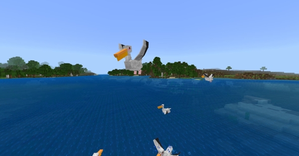Pelicans: Screenshot