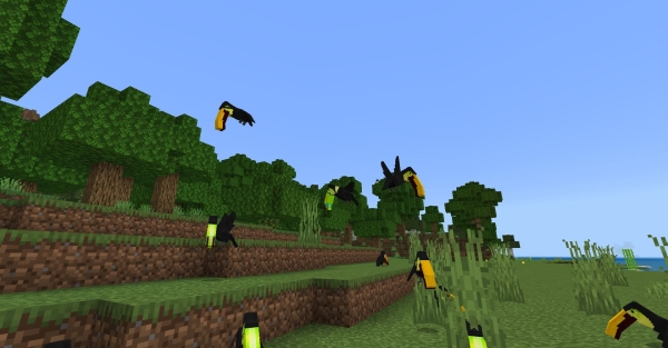Toucans: Screenshot