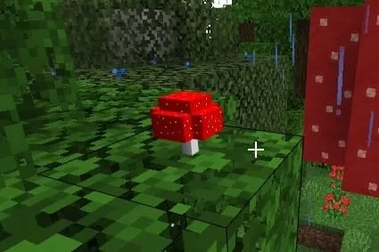 Miniature mushroom tree