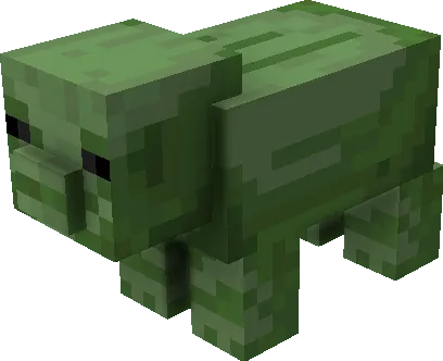 Zombie Pig