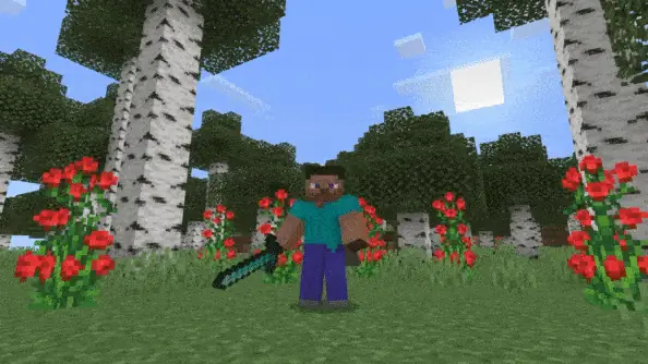 Diamond Sword attack