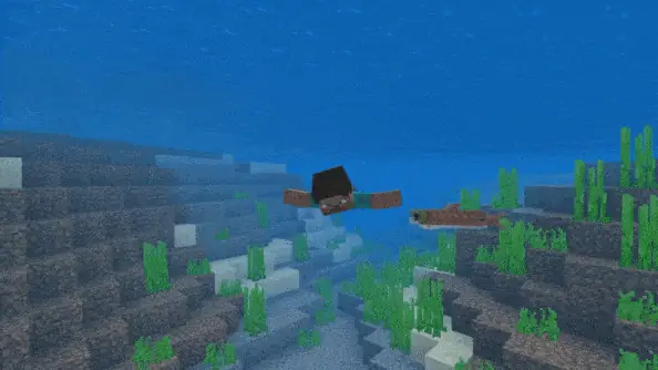 Animation of swimming