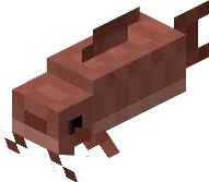 Catfish
