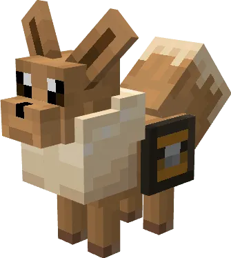 Pet with a chest