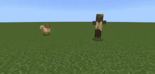 Eevee attacks