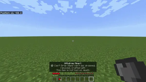Using a Heart Item