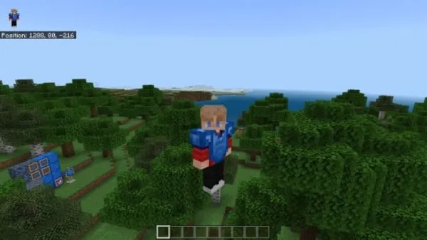 Cobalt Armor on Player