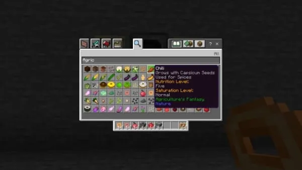 New food in the inventory