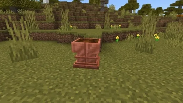 Copper Pot