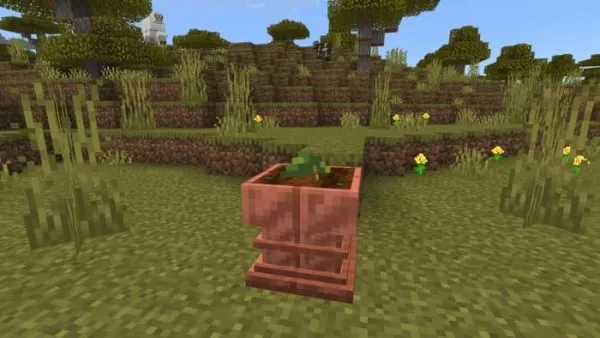 Copper Pot with a plant