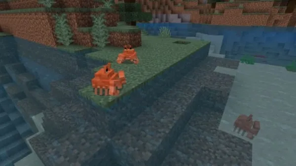 Crabs