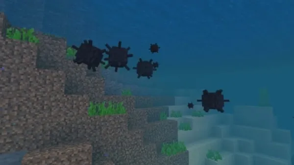Sea Urchins