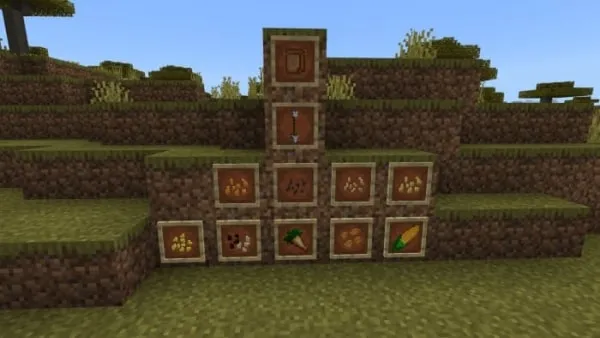 Medium seed pack