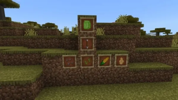 Large seed pack