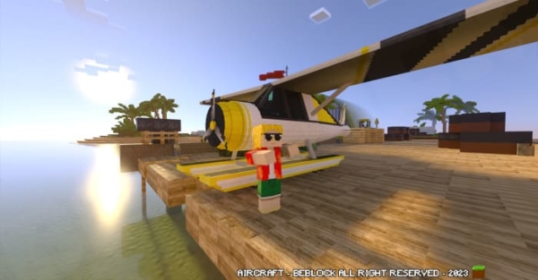 A player near a yellow seaplane