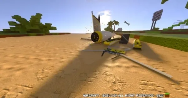 The fallen seaplane